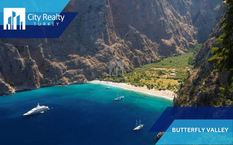 Butterfly Valley  